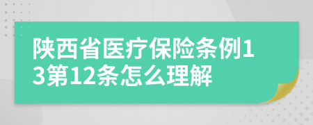 陕西省医疗保险条例13第12条怎么理解