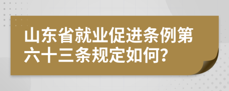 山东省就业促进条例第六十三条规定如何？