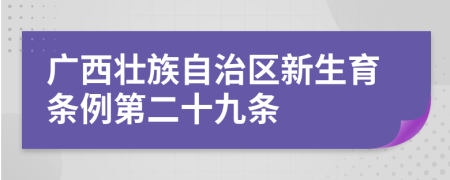 广西壮族自治区新生育条例第二十九条