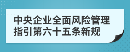 中央企业全面风险管理指引第六十五条新规