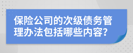 保险公司的次级债务管理办法包括哪些内容？