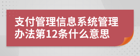 支付管理信息系统管理办法第12条什么意思