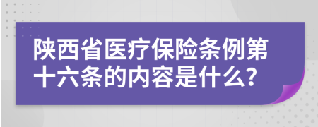 陕西省医疗保险条例第十六条的内容是什么？