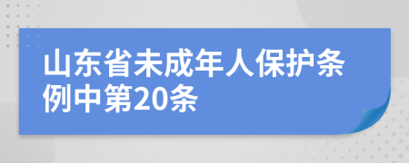 山东省未成年人保护条例中第20条