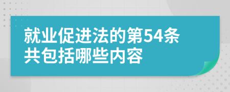 就业促进法的第54条共包括哪些内容