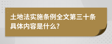 土地法实施条例全文第三十条具体内容是什么?