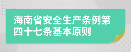 海南省安全生产条例第四十七条基本原则