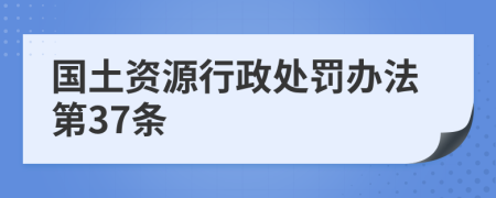 国土资源行政处罚办法第37条