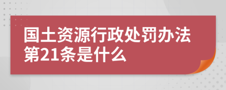 国土资源行政处罚办法第21条是什么