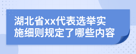 湖北省xx代表选举实施细则规定了哪些内容