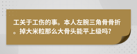 工关于工伤的事。本人左腕三角骨骨折。掉大米粒那么大骨头能平上级吗？