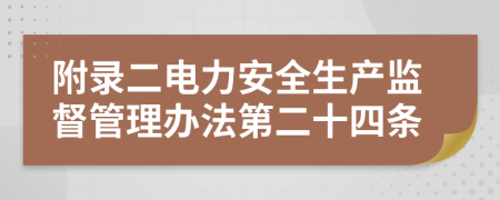 附录二电力安全生产监督管理办法第二十四条