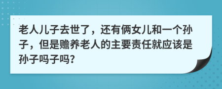 老人儿子去世了，还有俩女儿和一个孙子，但是赡养老人的主要责任就应该是孙子吗子吗？