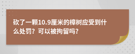 砍了一颗10.9厘米的樟树应受到什么处罚？可以被拘留吗？