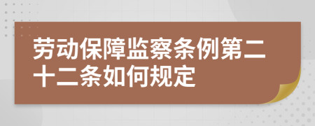 劳动保障监察条例第二十二条如何规定