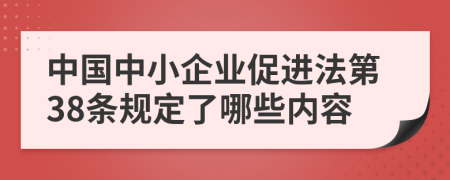 中国中小企业促进法第38条规定了哪些内容
