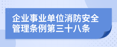 企业事业单位消防安全管理条例第三十八条