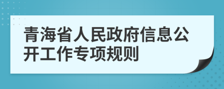 青海省人民政府信息公开工作专项规则