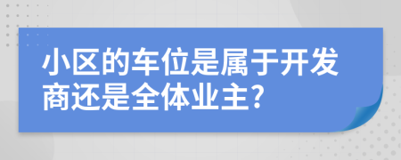 小区的车位是属于开发商还是全体业主?