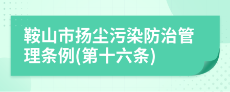 鞍山市扬尘污染防治管理条例(第十六条)