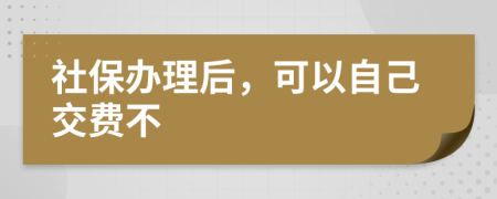 社保办理后，可以自己交费不