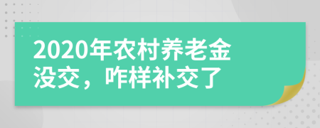 2020年农村养老金没交，咋样补交了