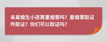 未离婚生小孩算重婚罪吗？重婚罪取证咋取证？你们可以取证吗？