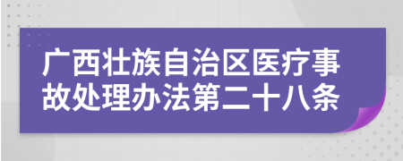 广西壮族自治区医疗事故处理办法第二十八条