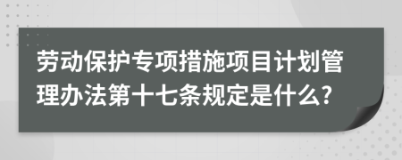 劳动保护专项措施项目计划管理办法第十七条规定是什么?