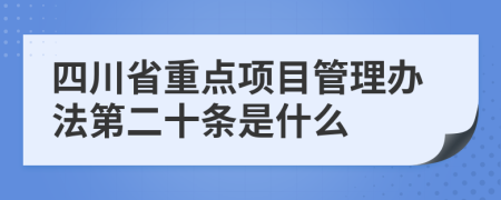 四川省重点项目管理办法第二十条是什么