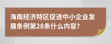 海南经济特区促进中小企业发展条例第28条什么内容?