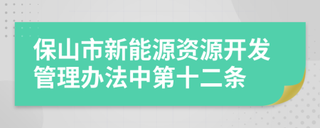 保山市新能源资源开发管理办法中第十二条