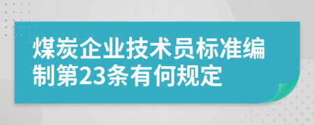 煤炭企业技术员标准编制第23条有何规定