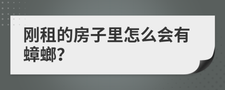 刚租的房子里怎么会有蟑螂？