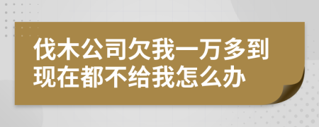 伐木公司欠我一万多到现在都不给我怎么办