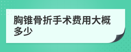 胸锥骨折手术费用大概多少