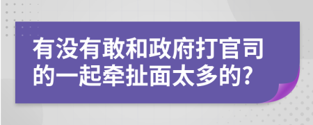 有没有敢和政府打官司的一起牵扯面太多的?