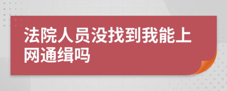 法院人员没找到我能上网通缉吗