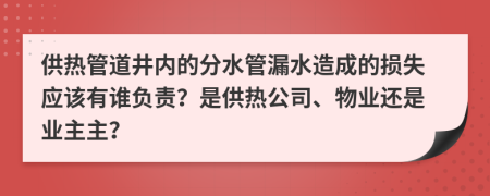 供热管道井内的分水管漏水造成的损失应该有谁负责？是供热公司、物业还是业主主？