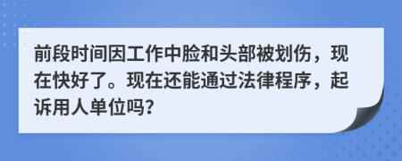 前段时间因工作中脸和头部被划伤，现在快好了。现在还能通过法律程序，起诉用人单位吗？