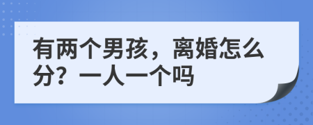 有两个男孩，离婚怎么分？一人一个吗