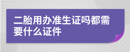 二胎用办准生证吗都需要什么证件