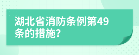 湖北省消防条例第49条的措施？