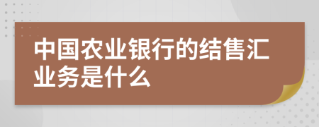 中国农业银行的结售汇业务是什么