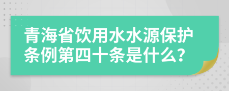 青海省饮用水水源保护条例第四十条是什么？