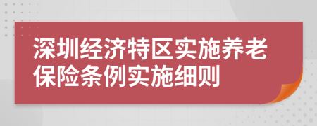 深圳经济特区实施养老保险条例实施细则