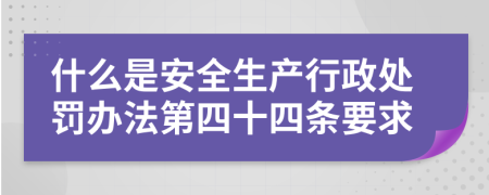 什么是安全生产行政处罚办法第四十四条要求