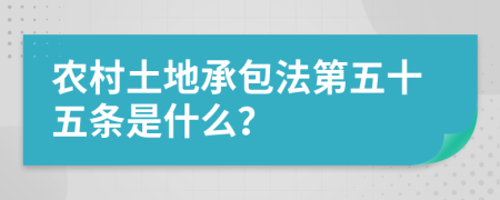 农村土地承包法第五十五条是什么？