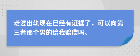 老婆出轨现在已经有证据了，可以向第三者那个男的给我赔偿吗。