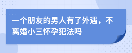 一个朋友的男人有了外遇，不离婚小三怀孕犯法吗